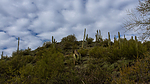 photo thumbnail #11