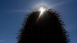 photo thumbnail #14