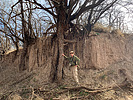 photo thumbnail #10