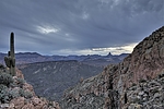 photo thumbnail #1
