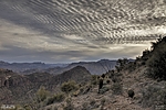 photo thumbnail #11