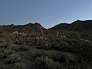 photo thumbnail #1