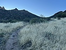 photo thumbnail #4