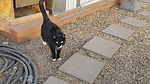 photo thumbnail #2
