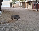 photo thumbnail #3