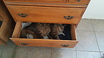 photo thumbnail #7