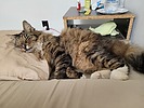 photo thumbnail #9
