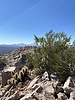 photo thumbnail #11