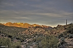 photo thumbnail #3