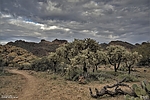 photo thumbnail #7