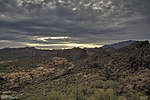 photo thumbnail #8