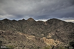 photo thumbnail #15