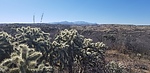 photo thumbnail #4