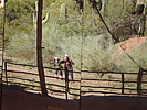 photo thumbnail #9