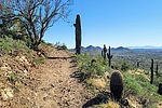 photo thumbnail #10