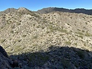 photo thumbnail #15