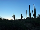 photo thumbnail #8