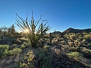 photo thumbnail #9