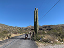 photo thumbnail #11