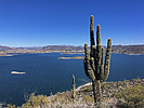 photo thumbnail #8