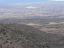 recent photo