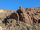photo thumbnail #4
