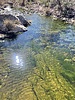 photo thumbnail #15