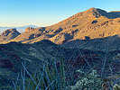 2022-02-05 :1: Mount Ajo :: GrangerGuy