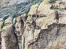 photo thumbnail #5
