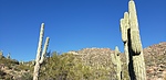 photo thumbnail #15