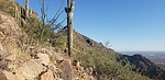 photo thumbnail #4