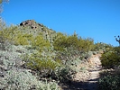 photo thumbnail #3
