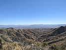 recent photo