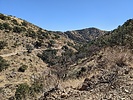recent photo