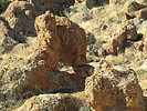 photo thumbnail #5