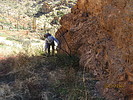 photo thumbnail #13