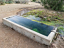 Featured Detail Photo