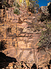 Featured Detail Photo