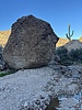 photo thumbnail #6