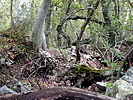 photo thumbnail #9