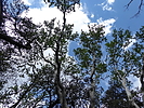 photo thumbnail #12