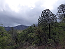 photo thumbnail #13