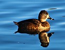 photo thumbnail #13