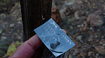 photo thumbnail #9