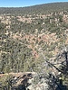 Featured Detail Photo