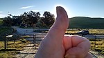 photo thumbnail #6