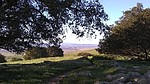 photo thumbnail #10
