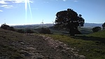 photo thumbnail #15