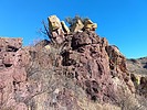 photo thumbnail #3
