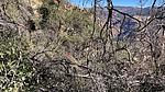 photo of comment